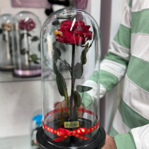 ROSA ETERNA PRESERVADA EN VARIEDAD DE COLORES
